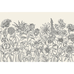 Detailed black and white illustration of wildflowers in a dense, horizontal layout on a light background. From the Wildflower Meadow Collection by Hester & Cook.