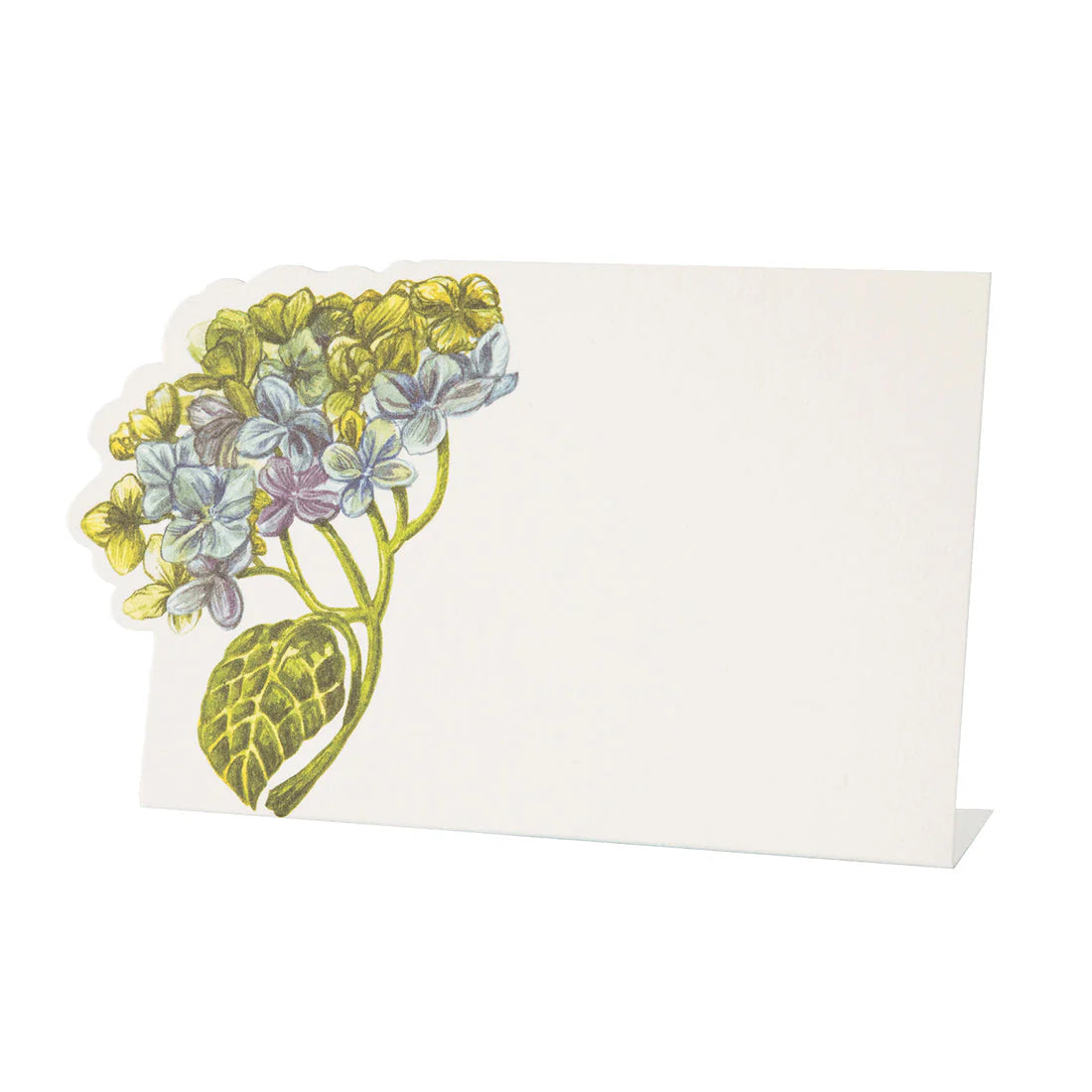 A blank cream-colored card from Hester & Cook’s Hydrangea Collection, featuring yellow and purple hydrangea flowers—perfect for charming table settings or sharing your unique Hydrangea Story.