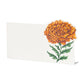 A blank white card from the Marigold Collection by Hester & Cook, featuring an illustration of a vibrant orange marigold flower with green leaves on the right side—perfect for adding a touch of fall decor to your Thanksgiving table.