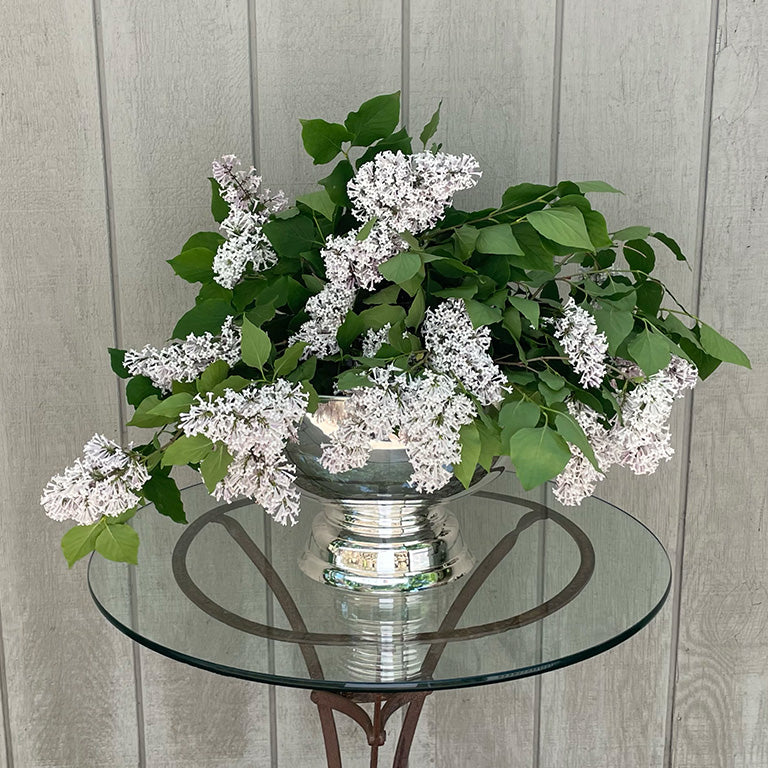 A Hôtel Silver Round Pedestal Chiller filled with blooming lilacs sits on a glass table against light wood panels, creating an elegant entertaining centerpiece.
