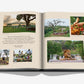 Londolozi: The Safari that Changed Everything by Assouline shows images of outdoor dining, picnics, food prep, and a lion near a table in the savannah—evoking the essence of safari and wilderness adventure.