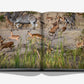 The book "Londolozi: The Safari that Changed Everything" by Assouline features a photo of zebras, impalas, and a cheetah racing across grasslands—capturing the thrill of safari adventure.