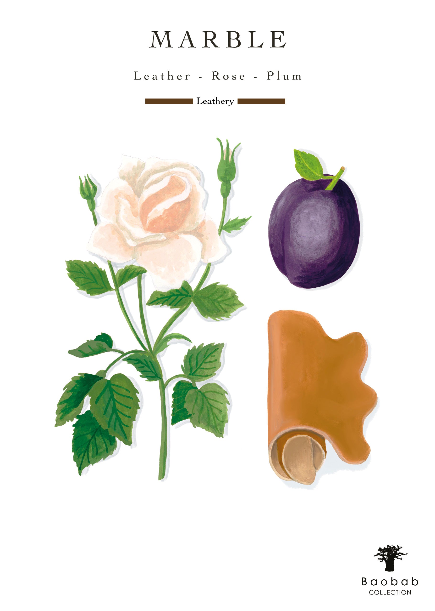 Illustration of a white rose, green leaves, purple plum, and rolled brown leather. Text: "Marble: Leather - Rose - Plum. Leathery." Inspired by hand-blown glass. Baobab Collection Stones Marble Candle by Baobab.