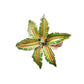 The Kim Seybert Palm Coast Napkin Ring, Set of 4, features gold and green five-pointed leaf designs with jeweled accents, making elegant nature-inspired table decor. Shown beautifully on a white background.