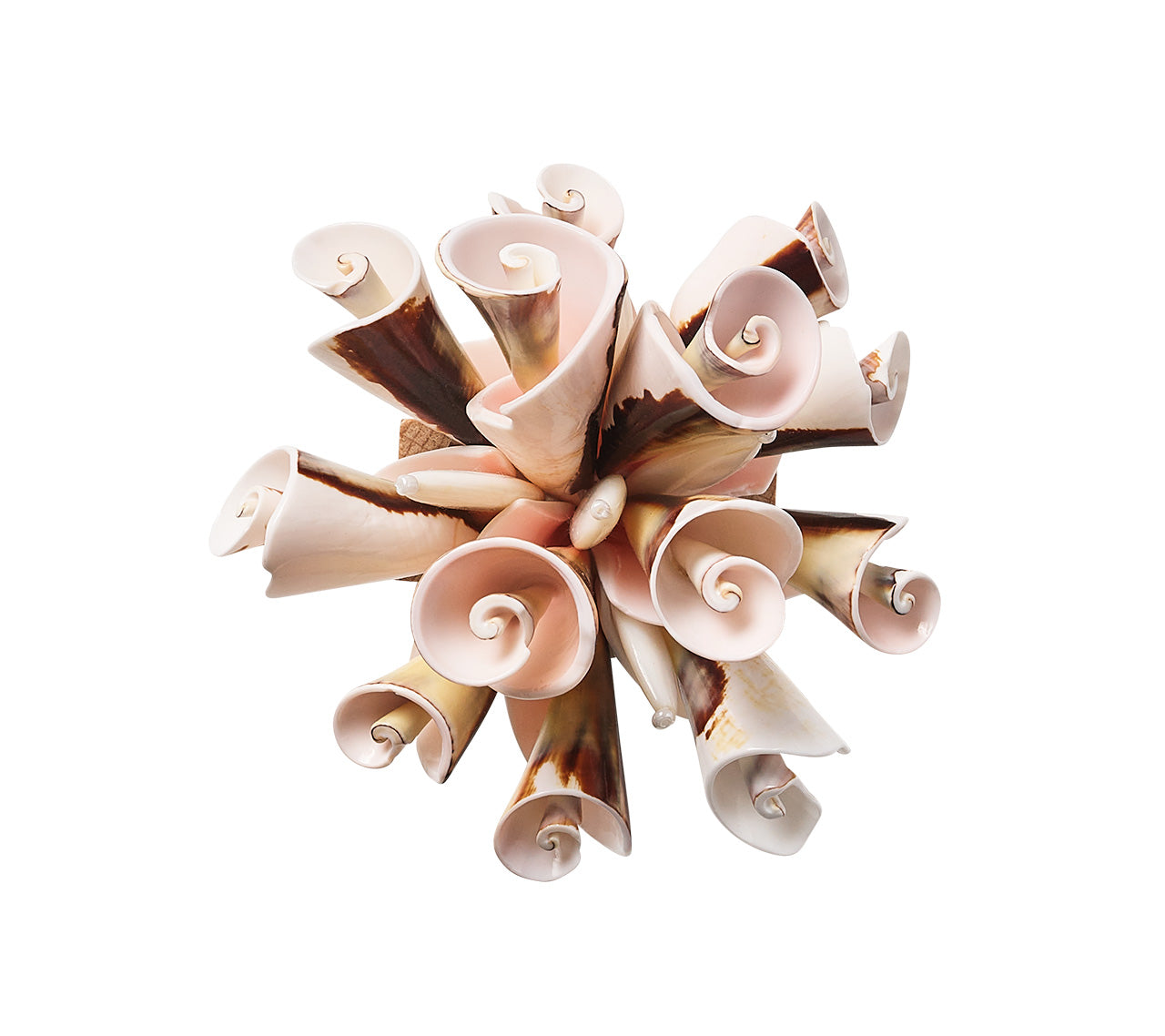 The Kim Seybert Seashell Burst Napkin Ring features a cluster of spiral seashells in a spherical design, captured against a white background.