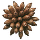 The Kim Seybert Florette Brown Napkin Ring features elongated brown pods in a radiating design, evoking natural elegance—ideal for enhancing outdoor gatherings.