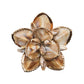 The Beachcomber Napkin Ring Set by Kim Seybert features layered, flower-shaped rings crafted from brown and cream seashells with gold edges—ideal for coastal-inspired table decor.