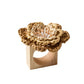 The Kim Seybert Pareo Napkin Ring features a rectangular wooden base topped with a woven raffia-style flower, accented by beige and white center details.
