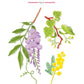 Illustration of wisteria, mimosa, and linden branches under the title "Paris - Floral," evoking the Paris scent from the Baobab Collection Paris Body Wellness Collection, with the Baobab logo at the bottom right.