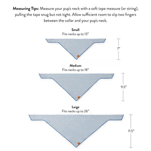Three “Birthday Boy” Embroidered Dog Bandanas by The Foggy Dog are shown in small, medium, and large sizes with measurements provided; text above offers tips for measuring your dog’s neck to ensure the right fit. Each makes a charming keepsake accessory and can be personalized to create a unique, custom bandana for any special occasion.
