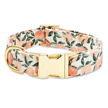 The Fabric Dog Collar Collection by Foggy Dog features a luxe peach and green leaf pattern with a gold metal buckle and D-ring—offering style and comfort for your pet.
