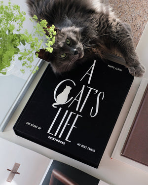 A gray cat lies beside the PrintWorks Photo Album A Cat's Life on a table with other books and a potted plant.