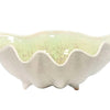 Medium Clam Bowl Collection - Sea Foam