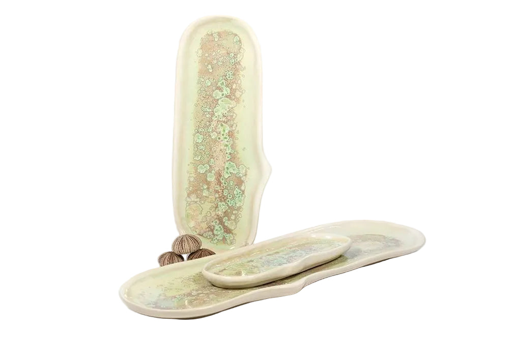 Large Razor Clam Tray Collection - Thumbnail 3