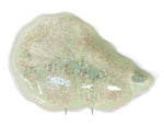 A pale green ceramic platter from the Coffee Table Bowl Collection by AE Ceramics, featuring mottled, speckled patterns and an irregular shape, is showcased as a striking centerpiece on a metal stand against a white background.