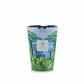 Baobab Collection's Sacred Trees Summer Yarani Candle features a green and blue nature-themed design with trees and plants.