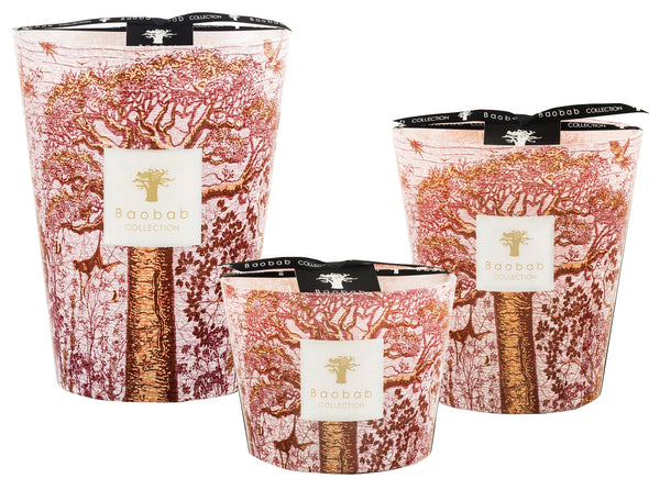 Three Baobab Collection Sacred Trees Woroba candles in varying sizes featuring red coral-inspired patterns on the containers, including a green fig Woroba scented candle.
