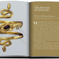 Open book with gold cover, featuring Chapter 1 titled "The History of Jewelry." The left page shows a gold snake bracelet adorned with a purple gem, and the right page contains text detailing the chapter's rich exploration of jewels and precious metals. **Jewelry Guide: The Ultimate Compendium by Assouline** offers an exquisite look into the history and artistry of jewelry.