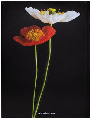 Painting of a white and a red poppy on a black background, featuring botanical illustration, by Assouline's Flowers: Art & Bouquets.