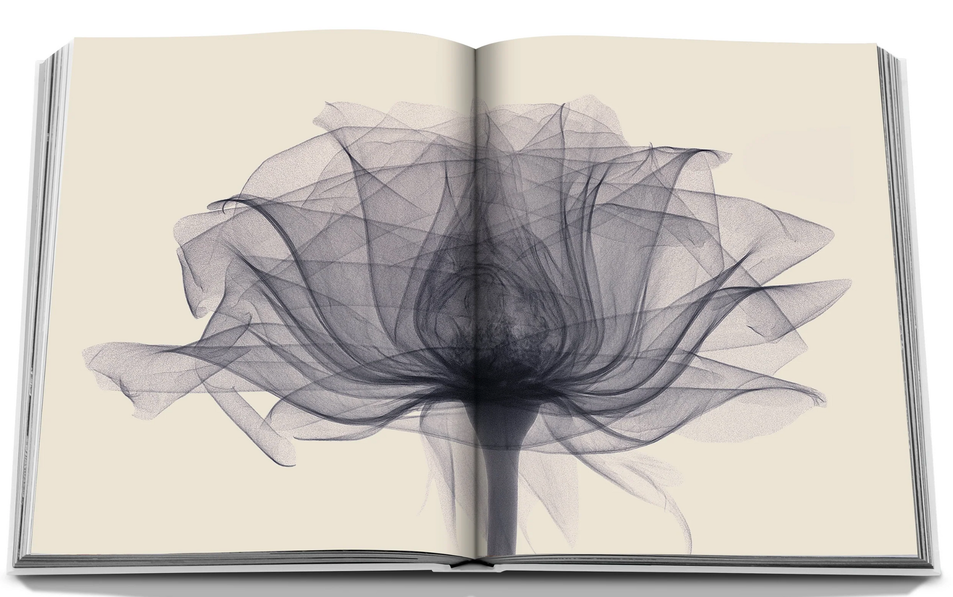 An open book displaying a botanical illustration of a flower-like pattern with intricate lines and translucent layers from Assouline's Flowers: Art & Bouquets.