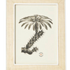 Aberdeen Frame Collection - Beige Abaca/White Resin,