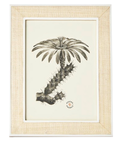 Framed illustration of a cactus with palm tree foliage, enclosed in Pigeon & Poodle Aberdeen frames.