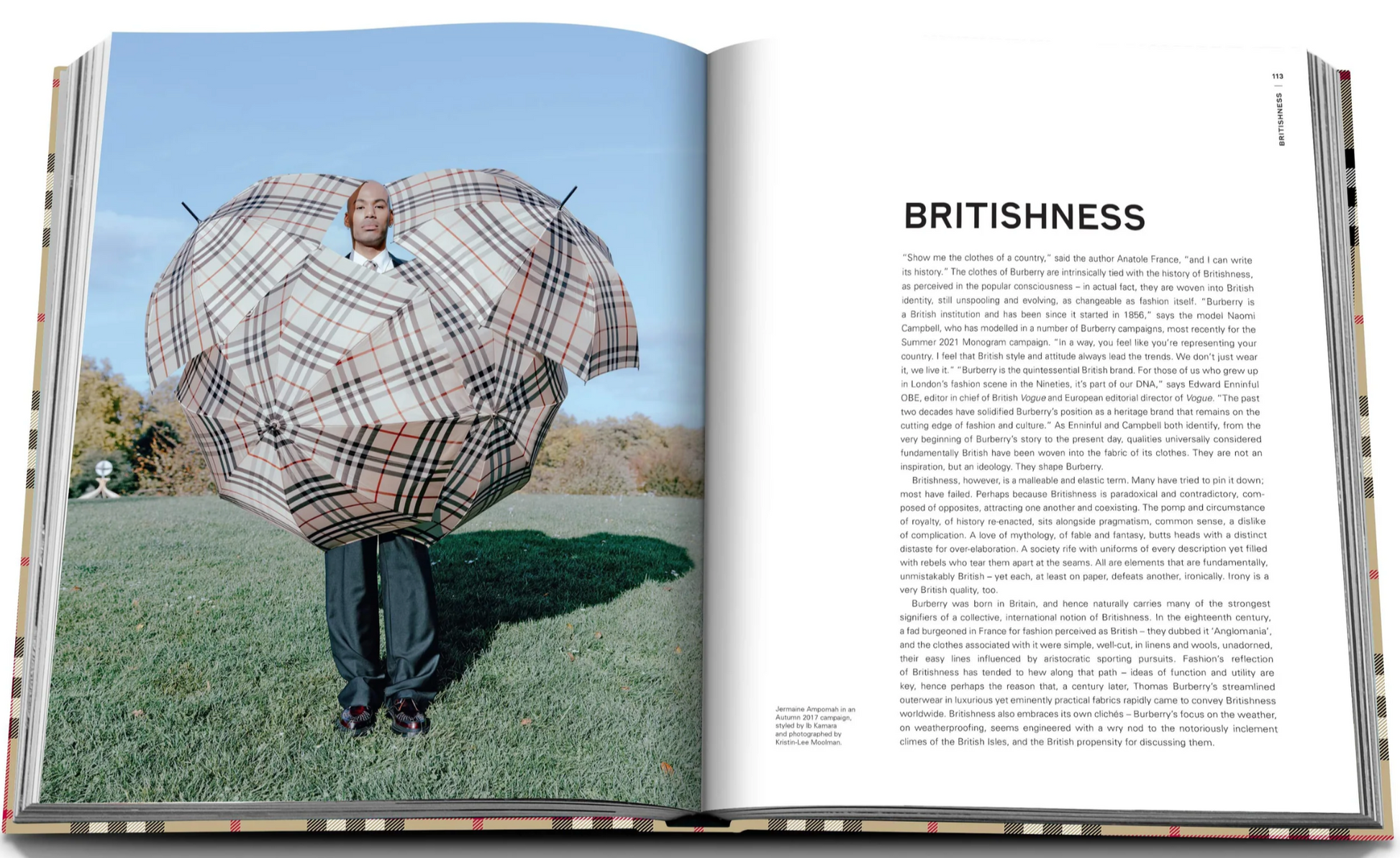 Open magazine showcases a man inside a large, plaid umbrella on a grassy field, highlighting British style and the luxury brand's influence. The right page features the text "Britishness," embodying elegance and tradition. This imagery complements the Burberry Book by Assouline.