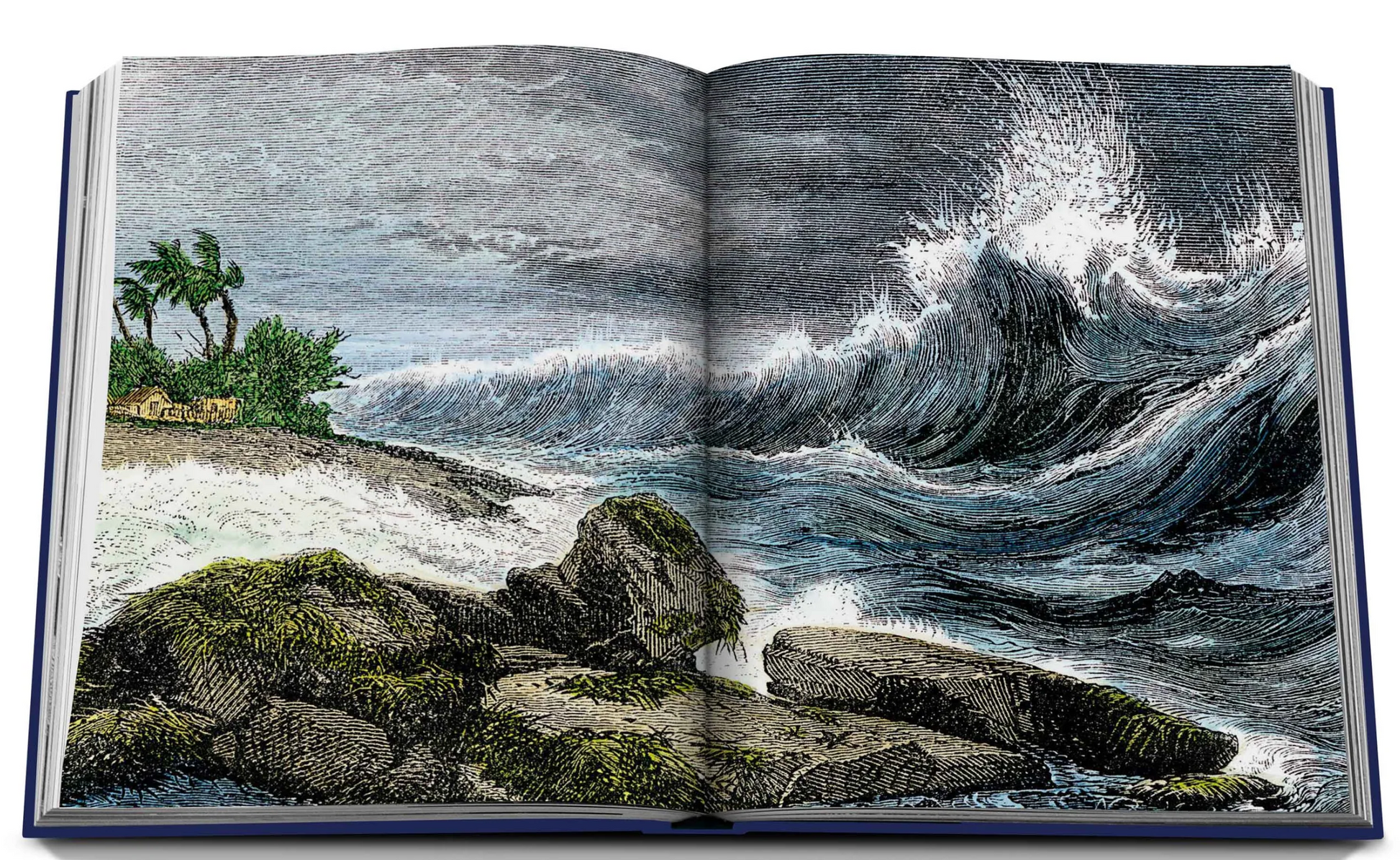 An Ocean Wanderlust book with waves crashing on rocks, hinting at marine habitat, published by Assouline.