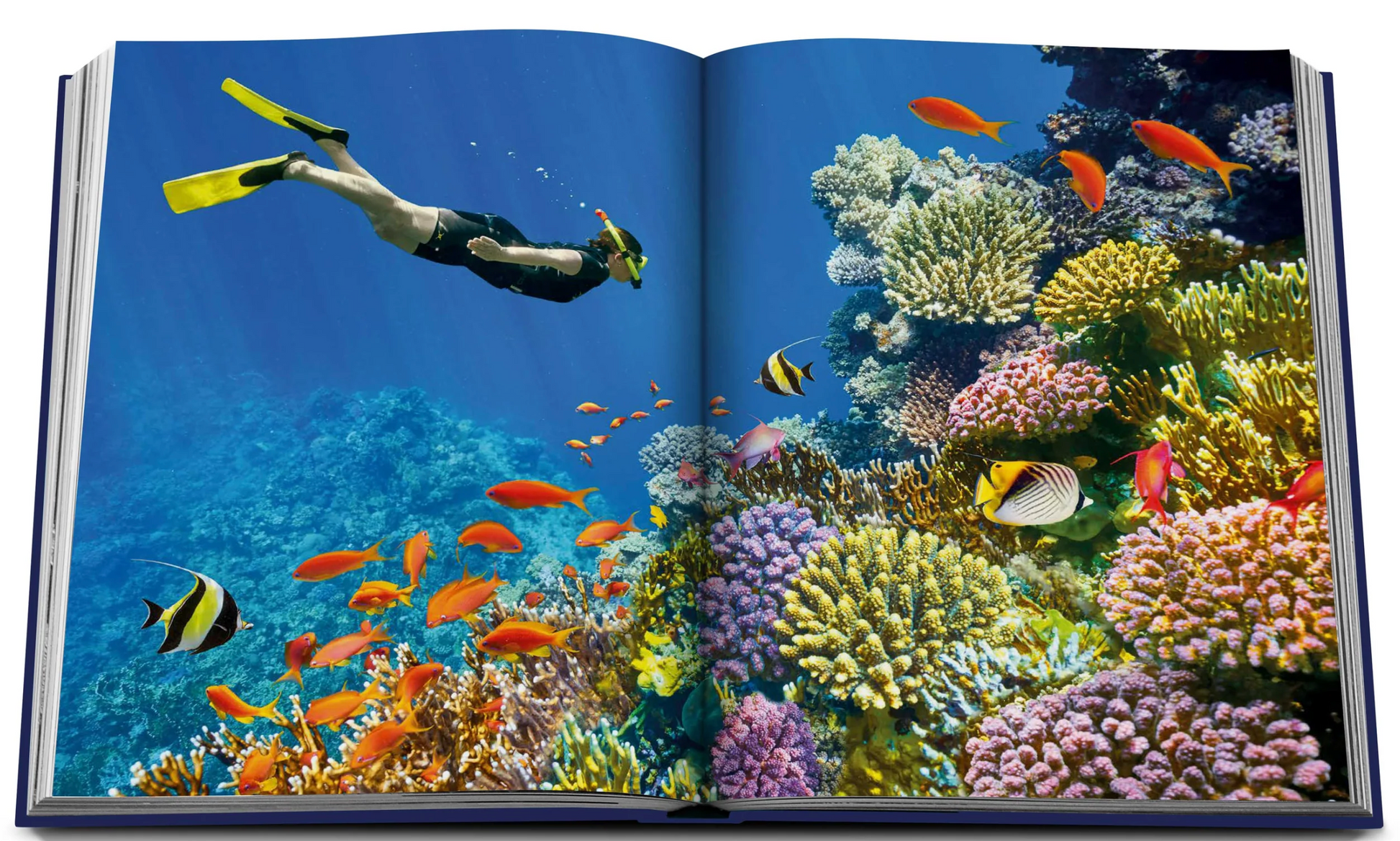 An open book showcasing the wonders of underwater exploration in the marine habitat, Assouline's Ocean Wanderlust.