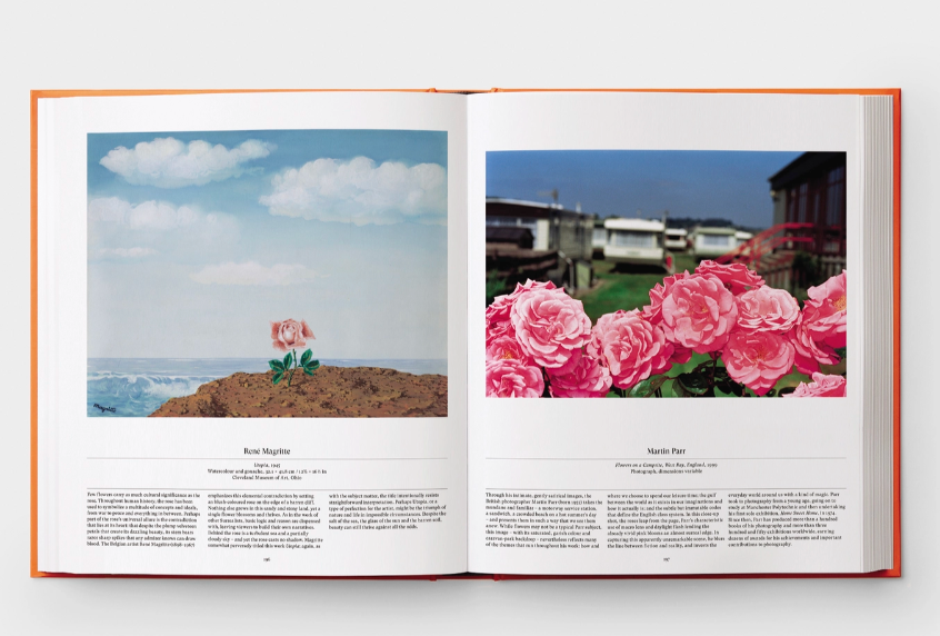 Open Phaidon Flower: Exploring The World In Bloom book displaying two pages with botanical illustrations of flowers against different backdrops, accompanied by text descriptions.
