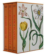 The Basilius Besler three-volume box set by Taschen features "Florilegium," "Garden at Eichstätt," and "Book of Plants," including a facsimile of Hortus Eystettensis, all with botanical illustrations and an illustrated floral case.