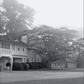 Black and white photo from “Houses That We’ve Dreamt Of” by Penguin Random House, depicting a large house with a porch, trimmed hedges, and an expansive lawn—its graceful architecture hinting at interiors where period and contemporary design coexist in harmony.
