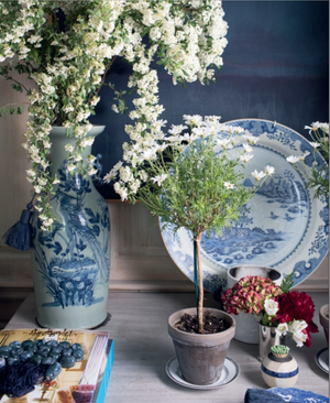 Elevate your home decor with a stylish tabletop display featuring A Home For All Seasons by Penguin Random House, paired with a large blue-and-white vase of white flowers, a small potted plant, a plate, assorted flowers in jars, and curated accents—perfect for entertaining in style.