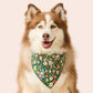 A fluffy brown and white dog wears the Foggy Dog Secret Garden Dog Bandana, featuring a colorful floral pattern, while sitting against a plain light background.