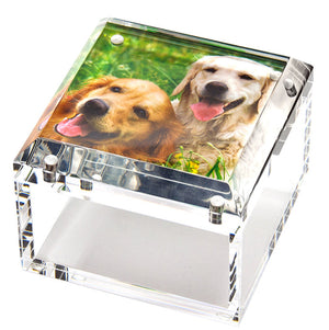 The Small Clear Photo Box by Tara Wilson Designs features a lid displaying two happy golden retrievers panting outdoors on green grass. This contemporary acrylic box offers stylish photo storage and display.