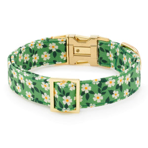 The Foggy Dog’s Dainty Daisies Dog Collar features green fabric with a white daisy floral print, yellow accents, gold metal buckle, and adjustable slider—ideal for pups who love the look of a grassy field.