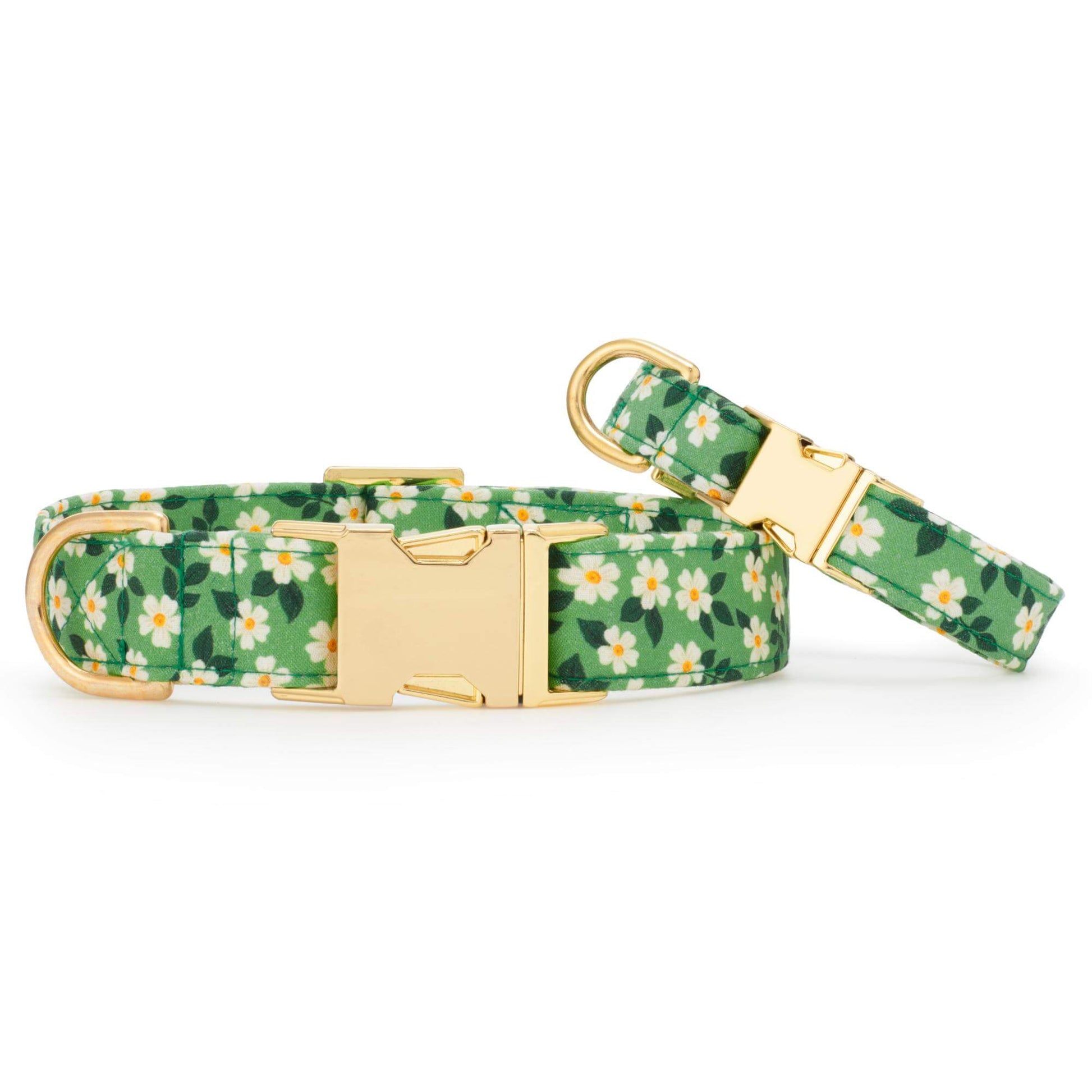 Two Dainty Daisies Dog Collars by The Foggy Dog, featuring green floral patterns with petite white daisies and gold hardware, are displayed on a white background.