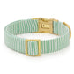 The Foggy Dog's Green Seersucker Dog Collar features light green and white stripes, a gold-tone metal buckle, and an adjustable slider, shown on a white background.