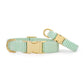 Two "Green Seersucker Dog Collar" products by The Foggy Dog, featuring green and white stripes with gold metal buckles and rings, are displayed on a white background.