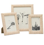 Three framed illustrations—a squash racket, botanical plants, and a cactus—are displayed in chic beige-and-white striped raffia frames from the Pigeon & Poodle Toluca Frame Collection.
