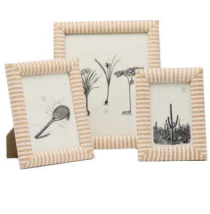 Three framed illustrations—a squash racket, botanical plants, and a cactus—are displayed in chic beige-and-white striped raffia frames from the Pigeon & Poodle Toluca Frame Collection.