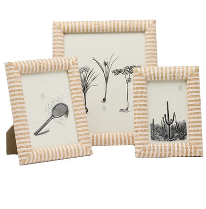 Three framed illustrations—a squash racket, botanical plants, and a cactus—are displayed in chic beige-and-white striped raffia frames from the Pigeon & Poodle Toluca Frame Collection.