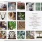 A photo book spread from "The Tom Scheerer Compendium" by Vendome showcases a table of contents on one page and a grid of various nature and decorative images, including plants, shells, and home decor items inspired by Tom Scheerer's interior design, on the adjacent page.