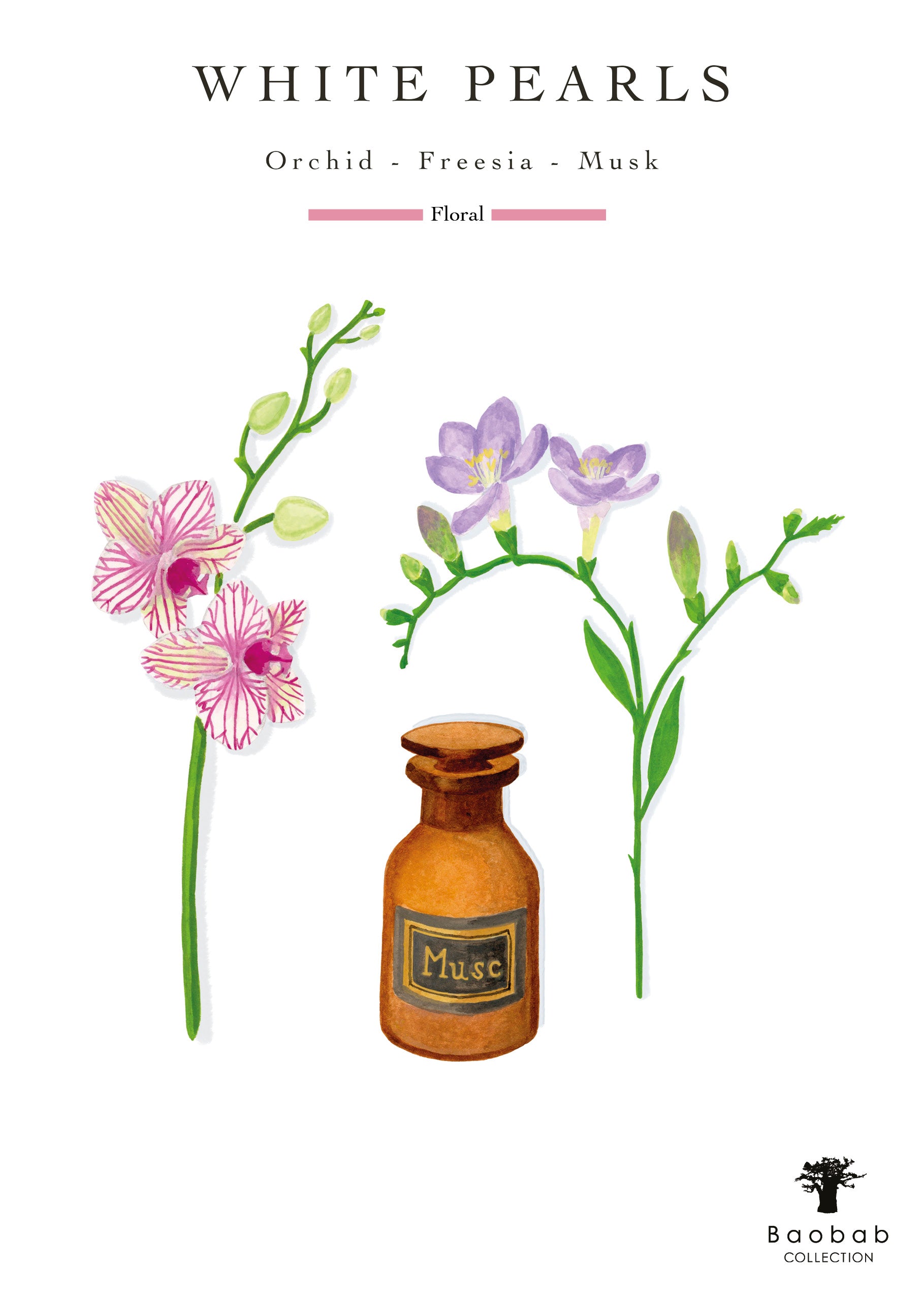 Illustration of a standing candle labeled "White Pearls" with orchid and freesia flowers on either side. Text above reads "Baobab Collection Pearls White Candle," featuring the delicate aroma of white musk.