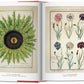 An open copy of Taschen’s "A Garden Eden" shows botanical illustrations: a detailed sunflower on the left page and labeled cornflower plants on the right, echoing the treasures of the National Library of Vienna.