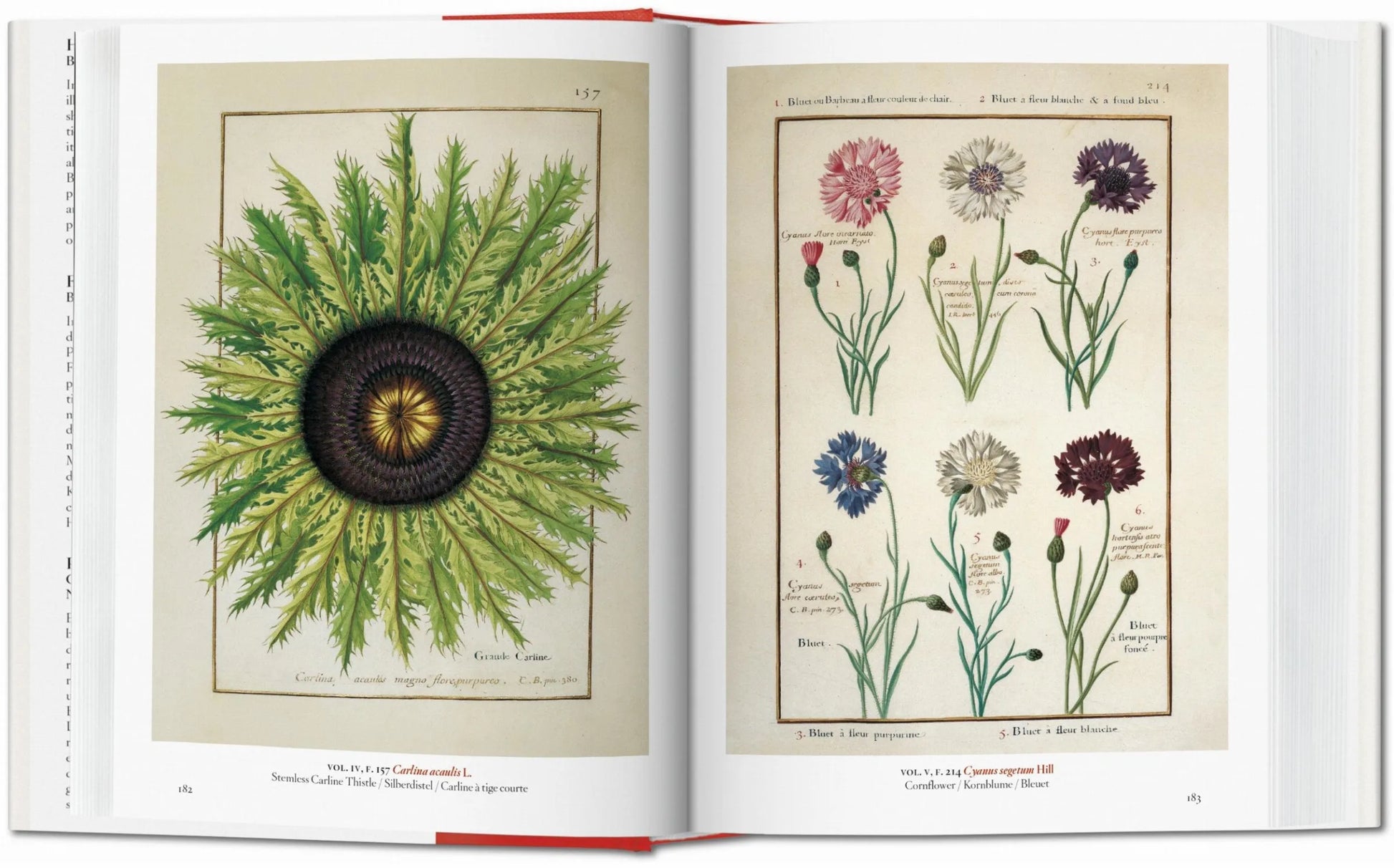 An open copy of Taschen’s "A Garden Eden" shows botanical illustrations: a detailed sunflower on the left page and labeled cornflower plants on the right, echoing the treasures of the National Library of Vienna.