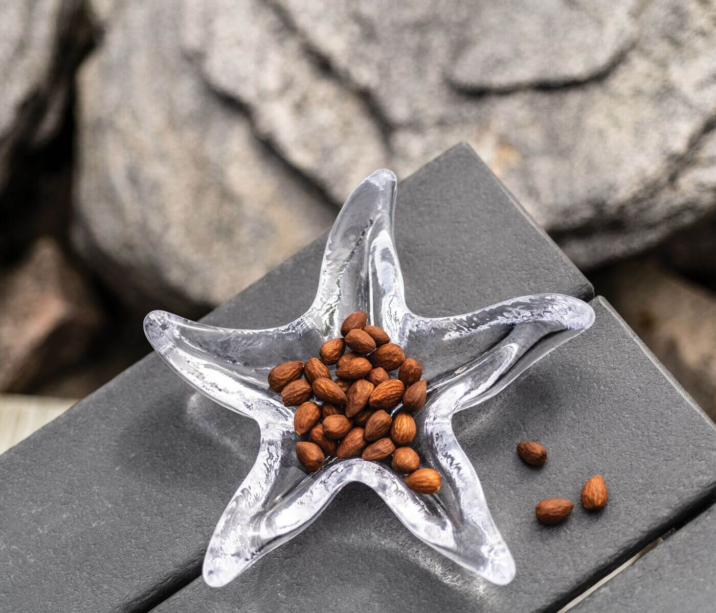 The Starfish Glassware Collection by Simon Pearce features a clear star-shaped bowl holding small brown seeds, set on a gray surface with rocks—perfect as a beach-inspired décor accent or a unique summer host gift.