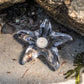 A lit tealight in a starfish-shaped holder from the Simon Pearce Starfish Glassware Collection sits on sandy ground with shells—an ideal beachcombing find or thoughtful summer host gift.