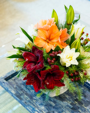 The Live Amaryllis Holiday Floral Arrangement by Hive Floral Studio features orange, red, and white flowers—including white rose lilies—greenery, pine branches, and red berries in a white vase on a blue patterned tray.