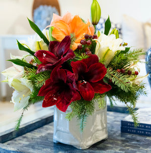 The Live Amaryllis Holiday Floral Arrangement by Hive Floral Studio features lush greenery and vibrant blooms in a ceramic vase, perfect as an indoor table centerpiece.